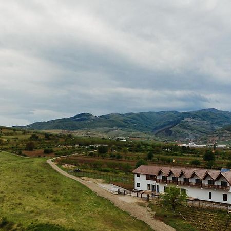 Pensiunea Casa Negrea Ighiu 外观 照片