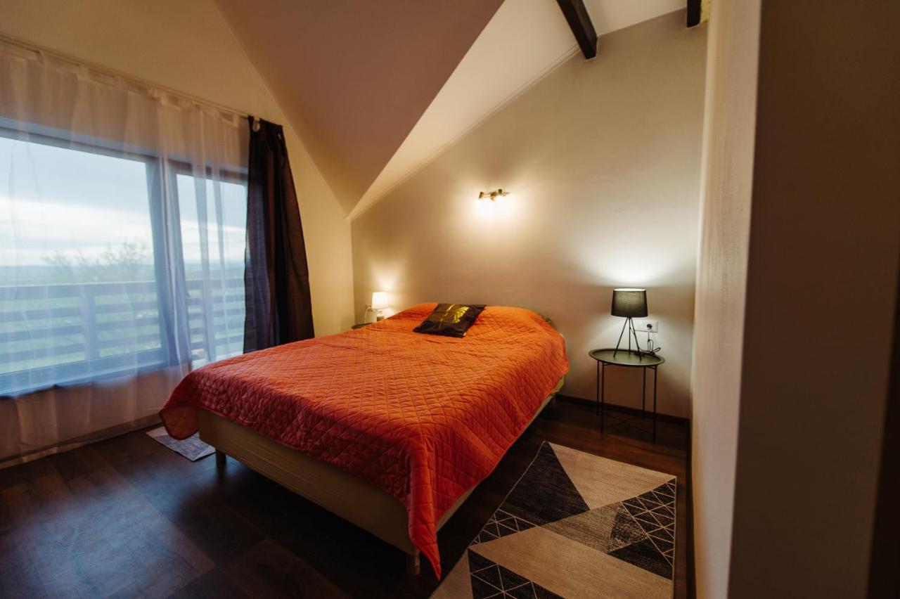 Pensiunea Casa Negrea Ighiu 外观 照片