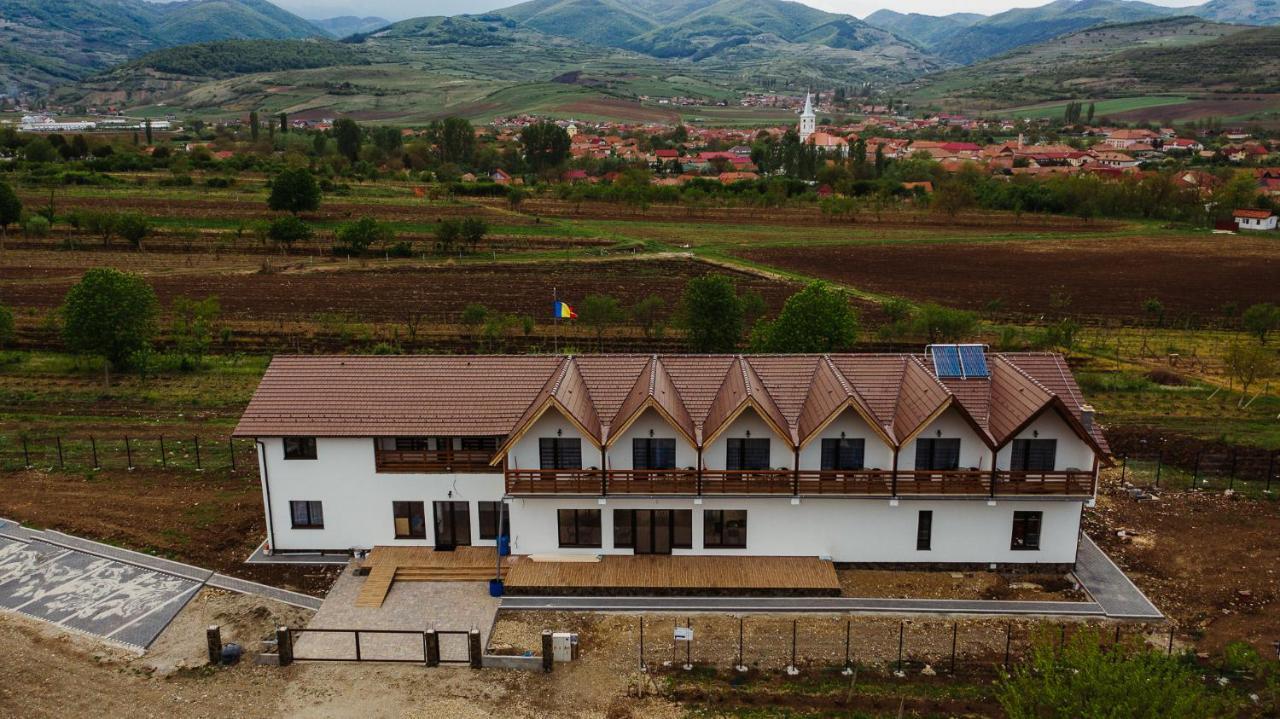Pensiunea Casa Negrea Ighiu 外观 照片