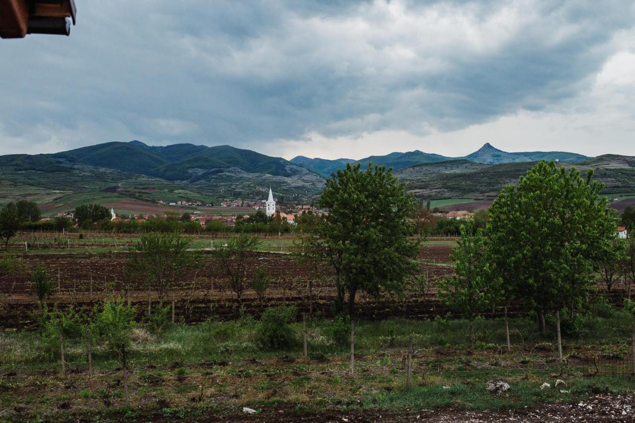 Pensiunea Casa Negrea Ighiu 外观 照片