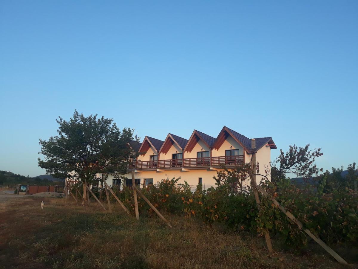 Pensiunea Casa Negrea Ighiu 外观 照片