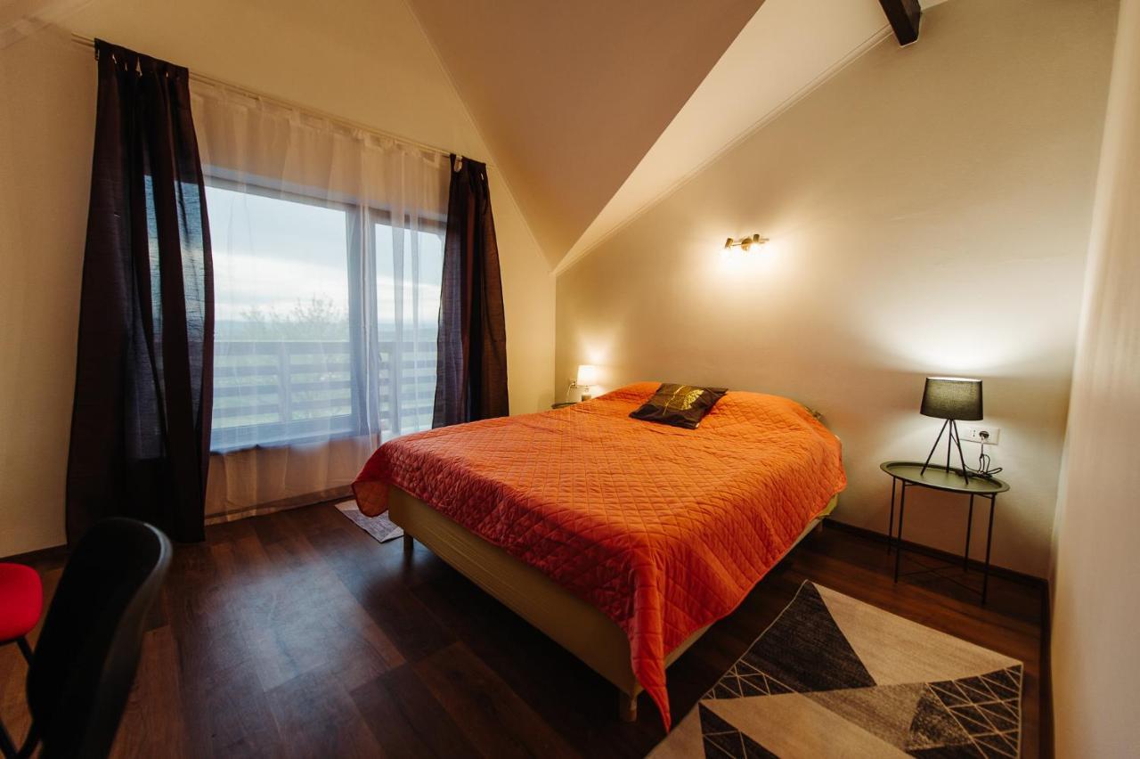 Pensiunea Casa Negrea Ighiu 外观 照片
